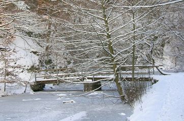 Brücke am Hexenteich